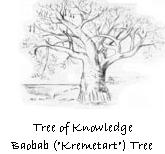 Collection logo